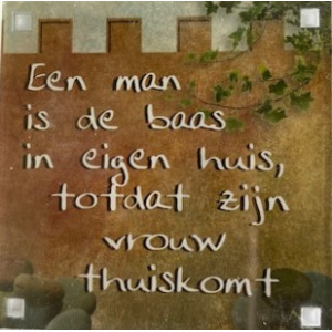 magneet_man_is_de_baas