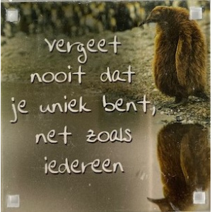 magneet_uniek