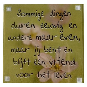 magneet_vriend_voor_het_leven
