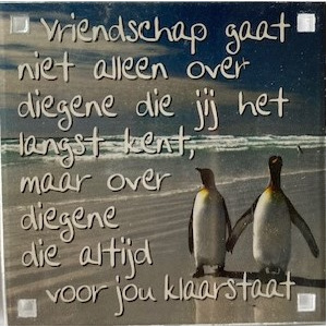 magneet_vriendschap_gaat_niet_alleen