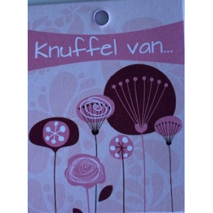 minikaartje_dubbel_knuffel_van_roze_met_bloemen
