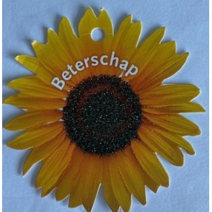 minikaartje_zonnebloem_beterschap
