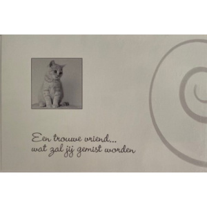 overlijden_kat