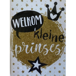 stardust_prinses