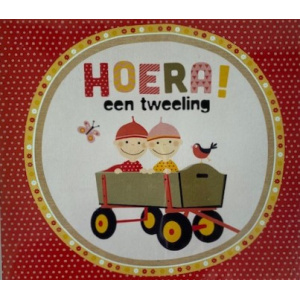 tweeling_2_meisjes_in_bolderkar_kaart_1308682595