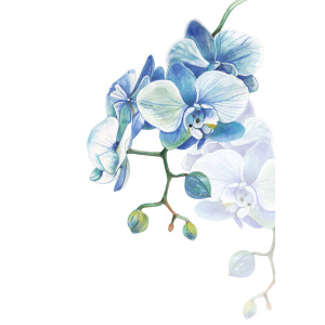 whispering_ws033