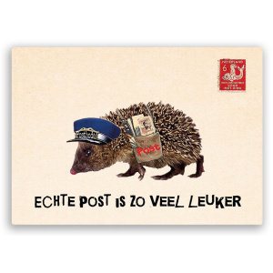 zintenz_kvc01