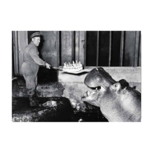 zwart_wit_foto_jarig_nijpaard