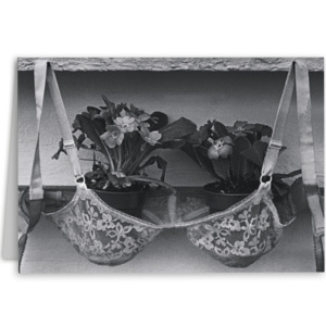 zwart_wit_foto_plantjes_in_bh