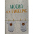 artige_everyday_tweeling