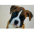 artige_postkaart_62