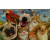 budget_kaart_grappige_dieren_huisdieren