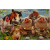 budget_kaart_grappige_dieren_oa_varkens