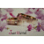 budget_kaart_just_married_ringen
