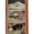 budget_kaart_veel_beterschap_honden