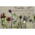 budget_kaart_verhuisd_paarse_bloemen