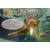 budget_kaart_zwemdiploma_hond_onder_water