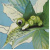 cards_by_ly_huilen_kind