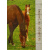kinderkaart_paard_met_veulen