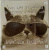 magneet_kat_roze_bril
