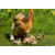 medley_62499