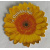 minikaartje_zonnebloem_n_opkikkertje