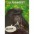 touche_promotie