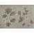 turnowsky_bloemen_1091019030